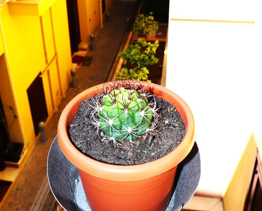 Apartment I Vicini Del Re Holiday Home Palermo
